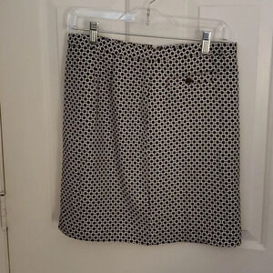 Ann Taylor Loft Lined Womens Skirt
